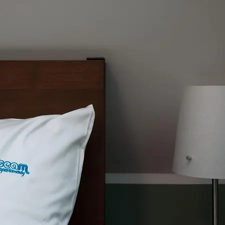 Dream Team Zamoyskiego * 比得哥什