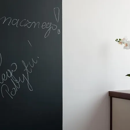 公寓 Dream Team Zamoyskiego