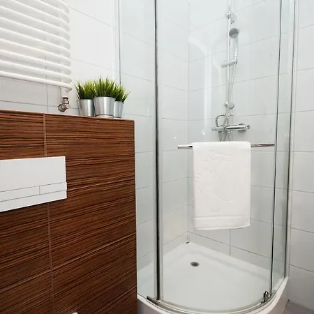 Dream Team Zamoyskiego *