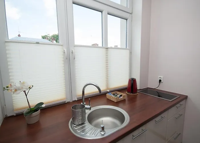 Dream Team Zamoyskiego Bydgoszcz