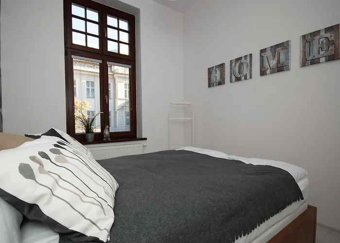 Dream Team Zamoyskiego Bydgoszcz